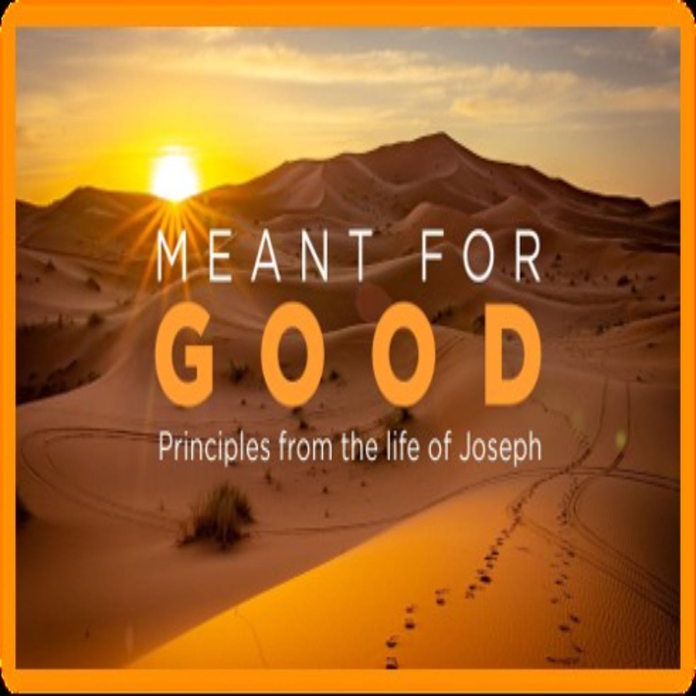 July 19, 2026 - Meant for Good Series PROCESSION!